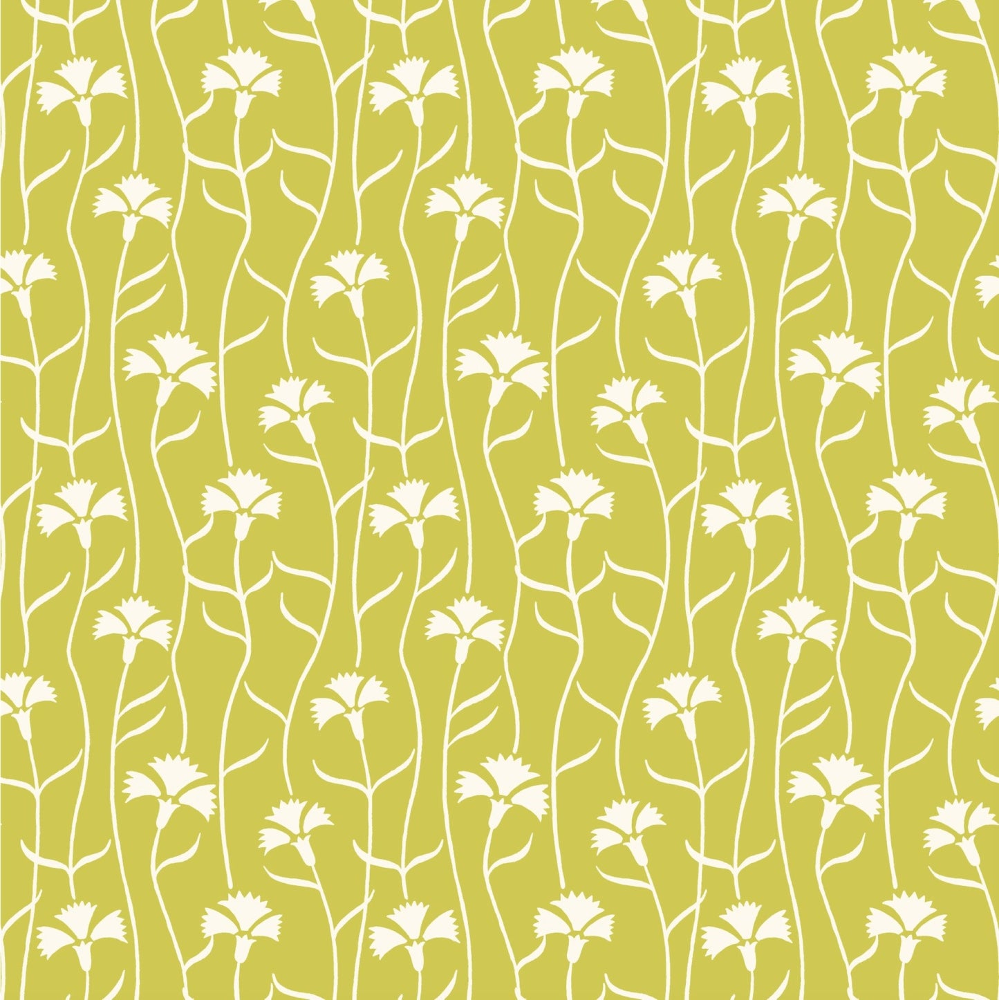 patterned paper, gift wrap with a white cornflower repeat pattern on soft lime green backdrop, by Ariana Martin
