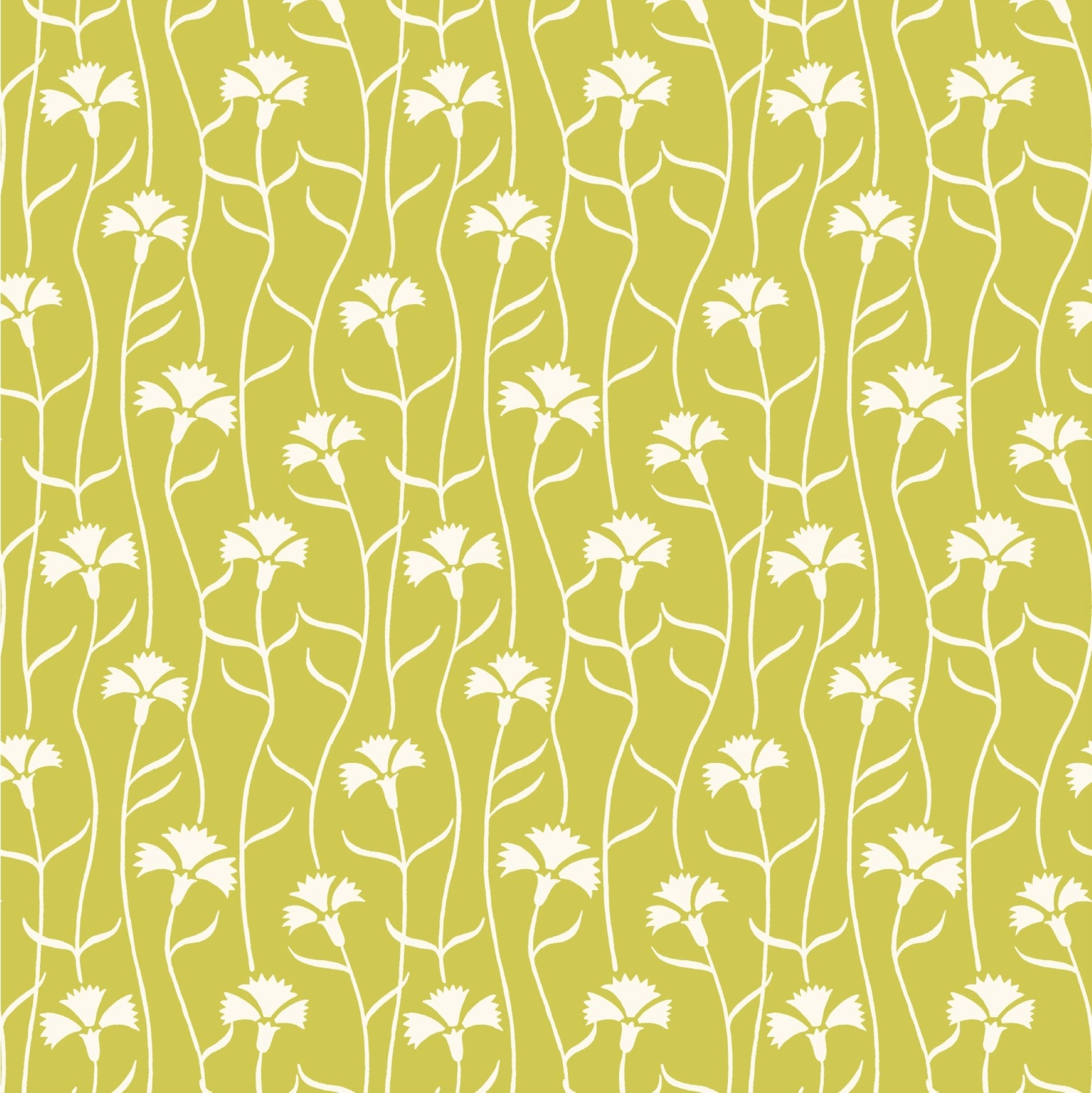 patterned paper, gift wrap with a white cornflower repeat pattern on soft lime green backdrop, by Ariana Martin