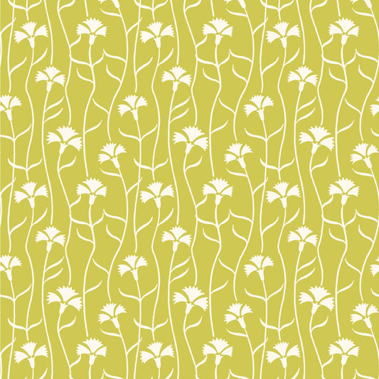 patterned paper, gift wrap with a white cornflower repeat pattern on soft lime green backdrop, by Ariana Martin