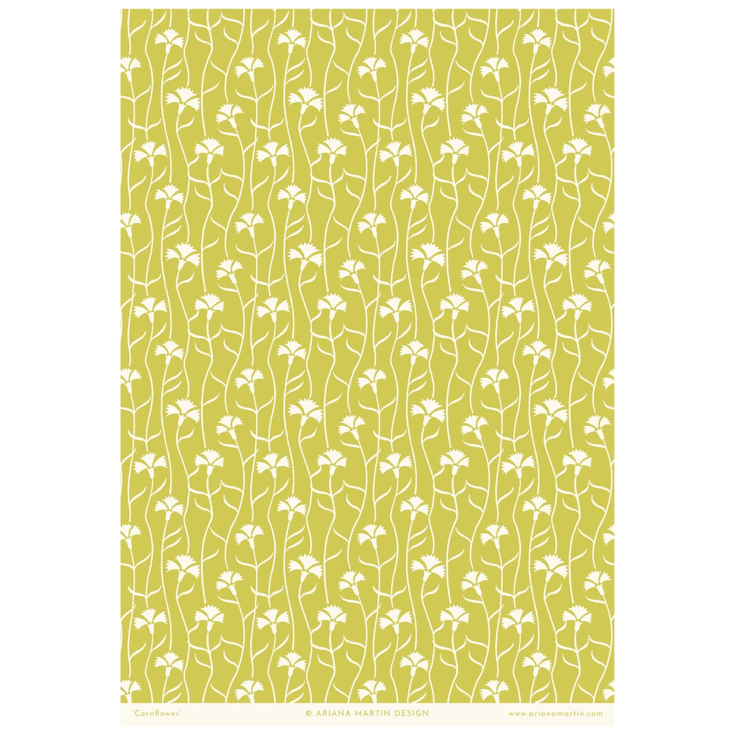 patterned paper, gift wrap with a white cornflower repeat pattern on soft lime green backdrop, by Ariana Martin, full sheet view