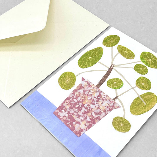 greetings card with pink plant pot and a chinese money plant by Hadley Paper goods