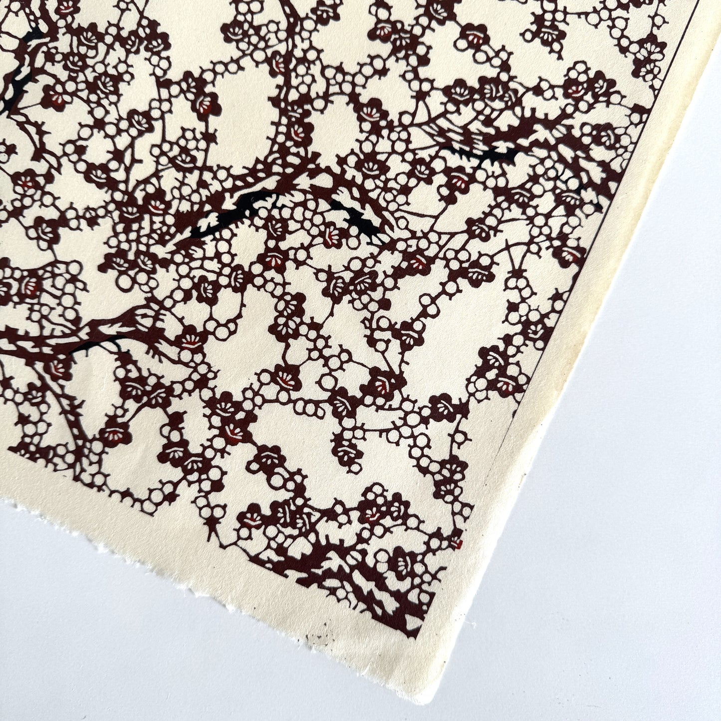 Japanese kazazome-shi stenciled dyed paper with a pattern of branches of plum blossom in deep maroon and black on an ivory paper. Showing deckled edges