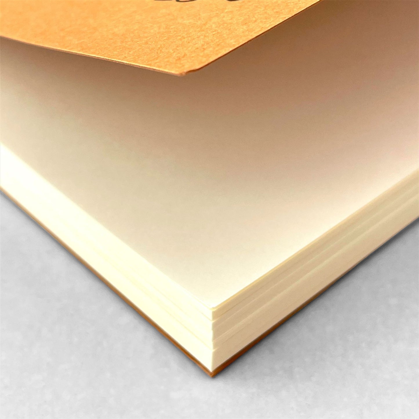 Softcover notebook with plain pages. The cover is plain ochre with a decorative black border and branding. Life Noble range by Japanese brand Life