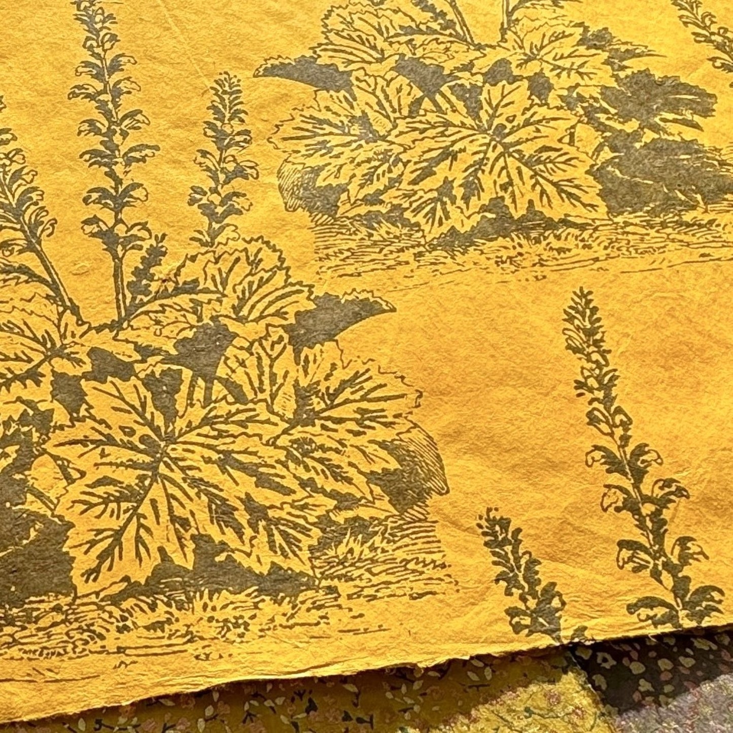 A Toile de Jouy style drawing of an agapanthus in brown screen-printed by hand on mustard yellow lokta paper.