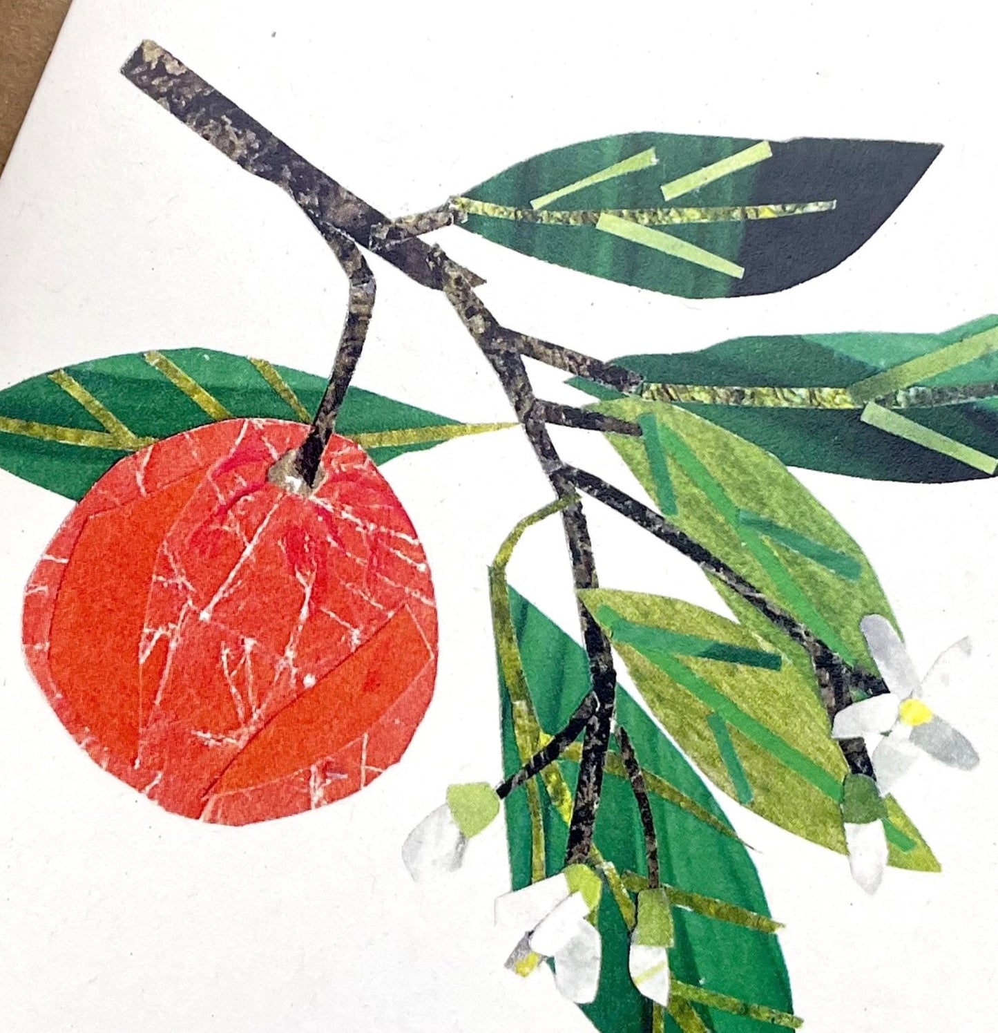 Greetings card by Megan Fartharly of a collaged orange, with envelope, close-up