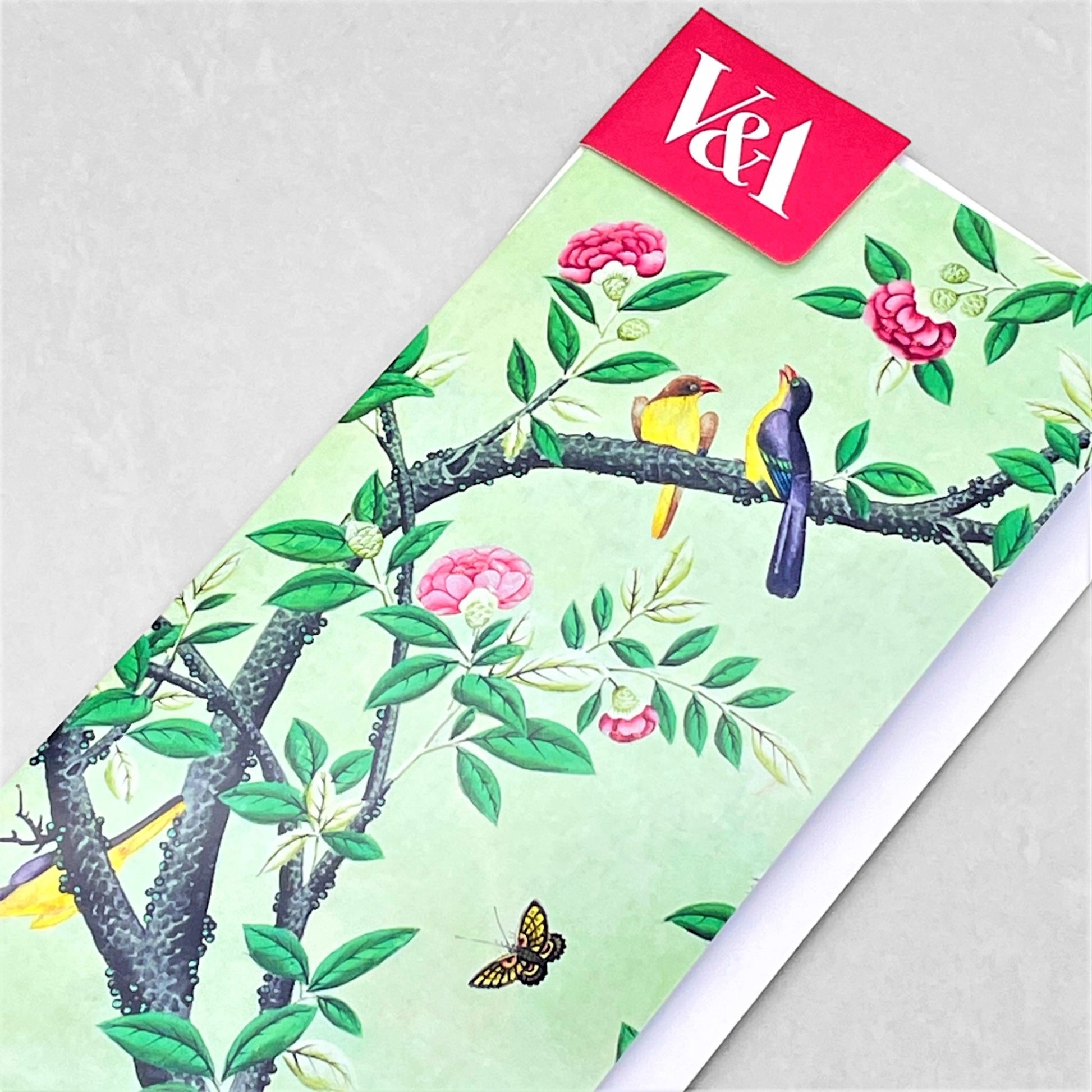 greetings card with pale green background and two birds on a branch of a tree in blossom