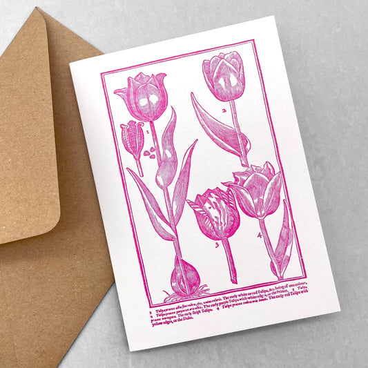letterpress greetings card of a drawing of different tulips, pink ink on white by Passenger Press