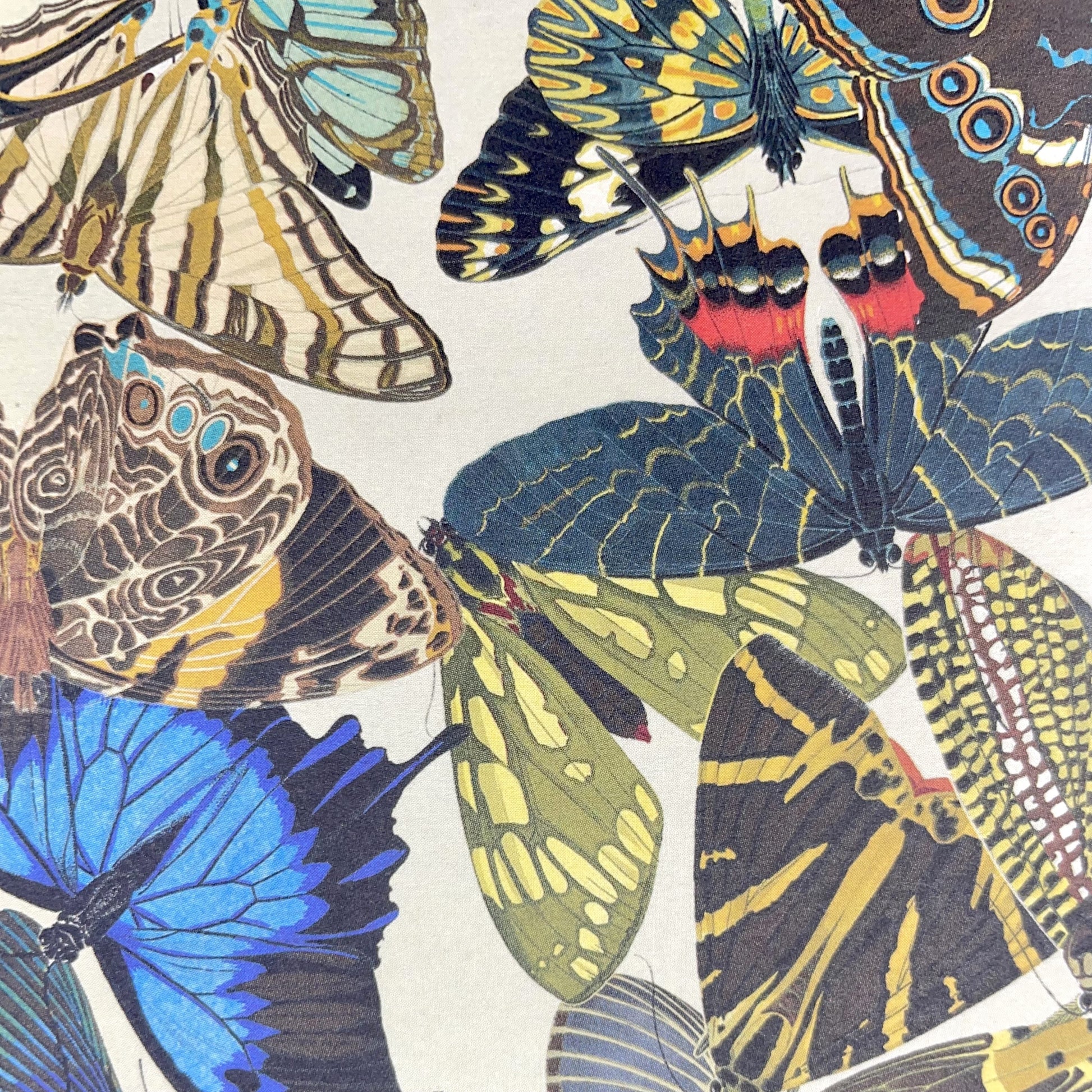 Poster wrap by The Pattern Book. This wrapping paper has an all-over butterfly design. Detailed illustrations of a wide variety of colourful butterflies, close up