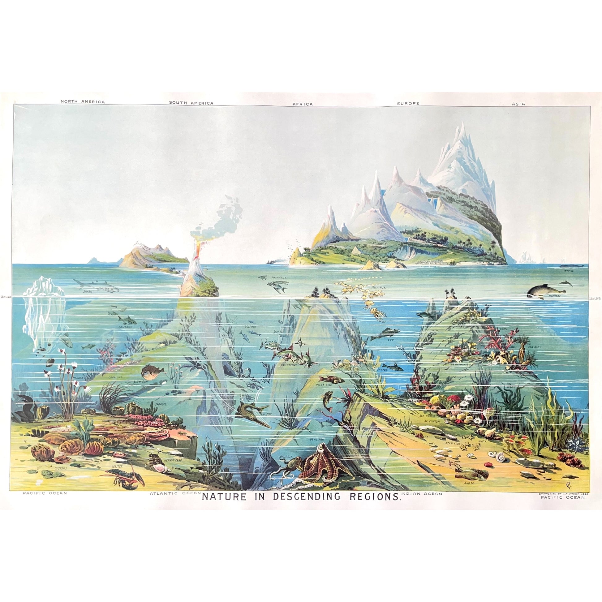 Poster Wrap by The Pattern Book. This wrapping paper is an image of underwater life in the oceans of the world. From the ocean floor to the sea level and above. Full poster view.