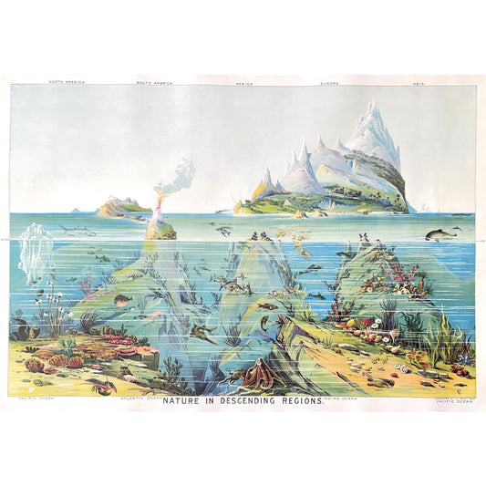 Poster Wrap by The Pattern Book. This wrapping paper is an image of underwater life in the oceans of the world. From the ocean floor to the sea level and above. Full poster view.