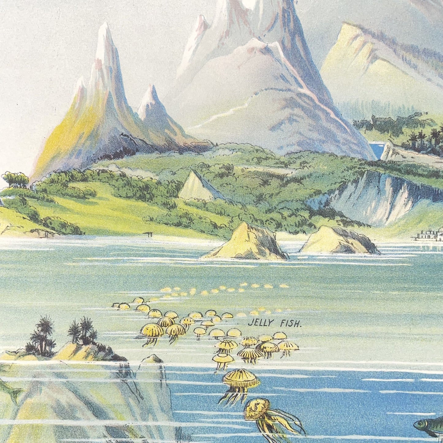 Poster Wrap by The Pattern Book. This wrapping paper is an image of underwater life in the oceans of the world. From the ocean floor to the sea level and above.  Detail shot above the sea level of mountains