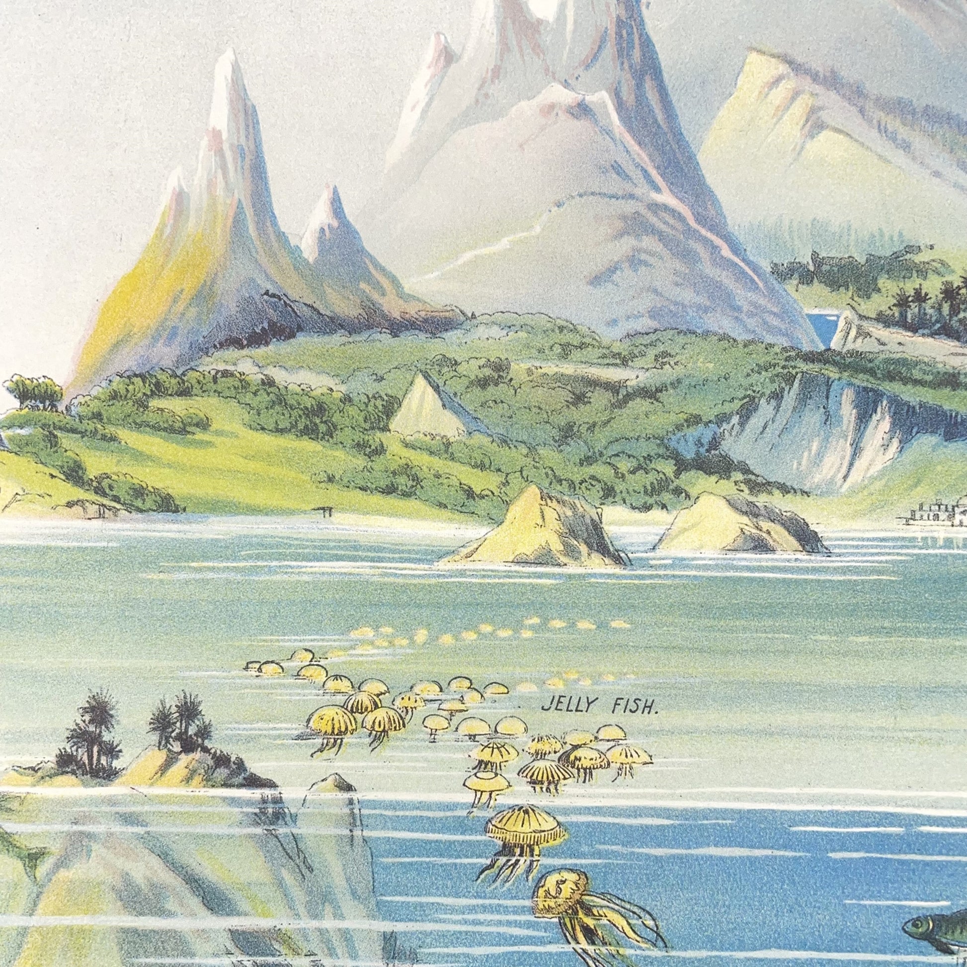 Poster Wrap by The Pattern Book. This wrapping paper is an image of underwater life in the oceans of the world. From the ocean floor to the sea level and above.  Detail shot above the sea level of mountains