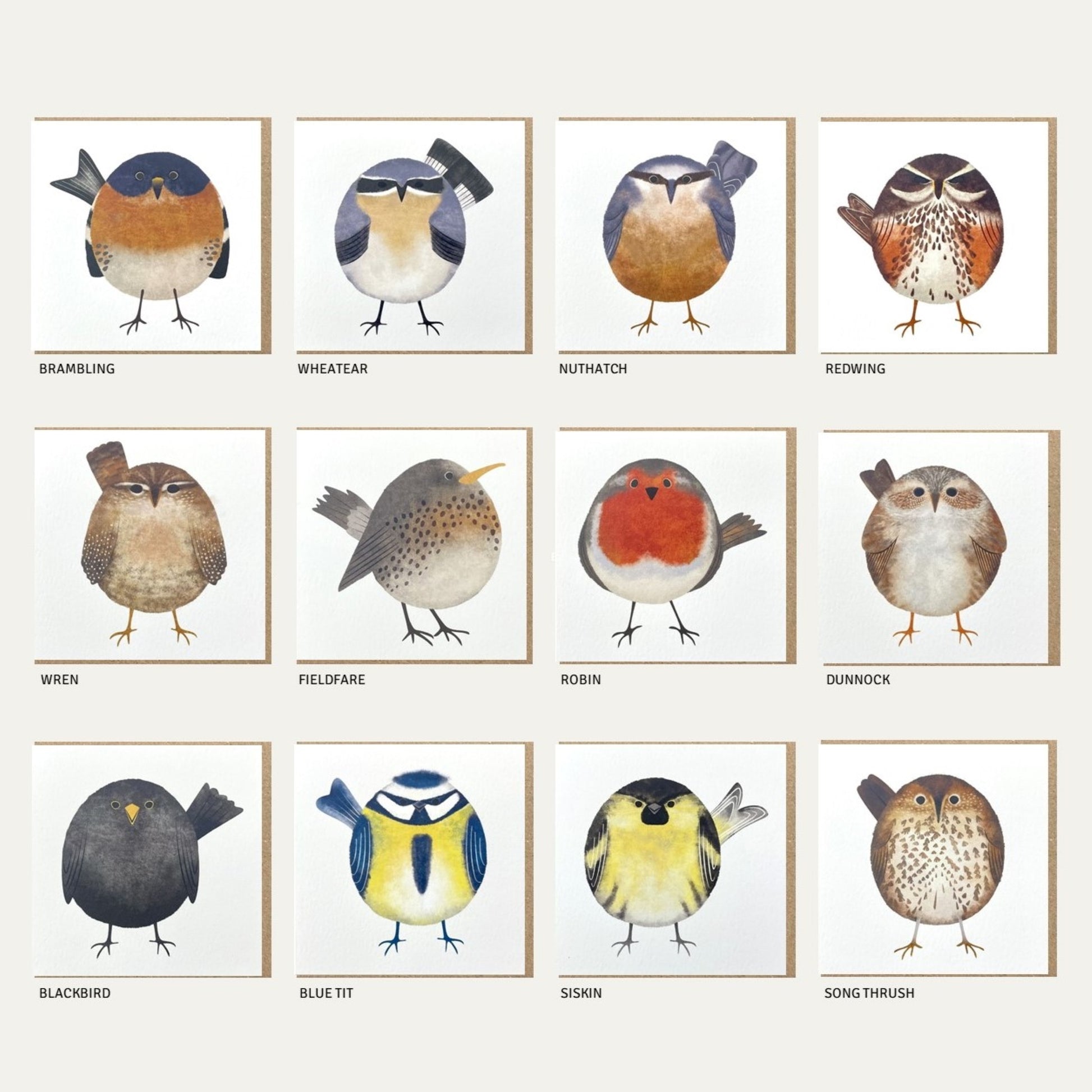 A pack of 12 small greetings card with illustrations of garden birds of the UK, by Ruth Thorp Studio