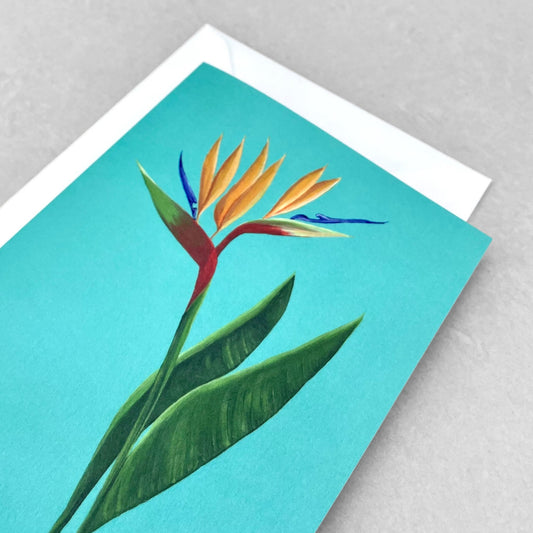greetings card with botanical drawing of a yellow bird of paradise flower on a light teal backdrop by Stengun Drawings