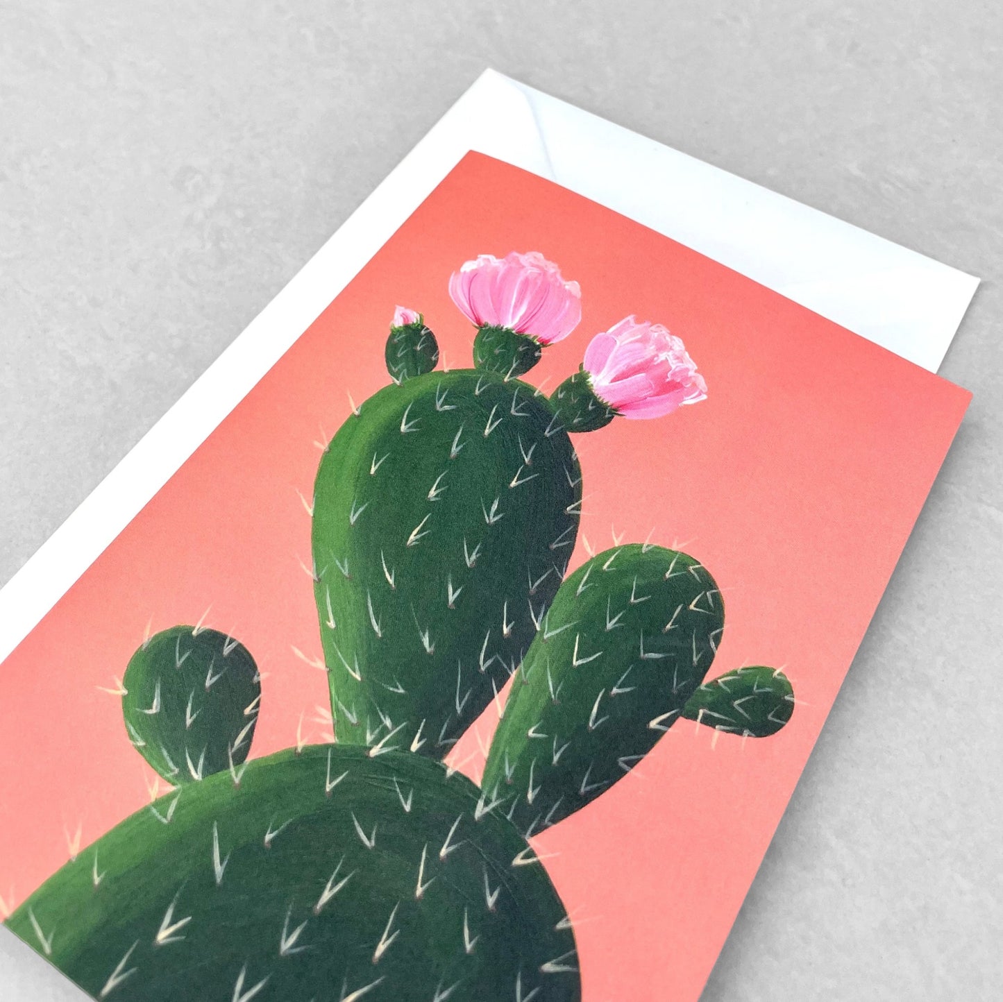 greetings card with botanical drawing of a cactus with pink flowers with a coral backdrop by Stengun Drawings