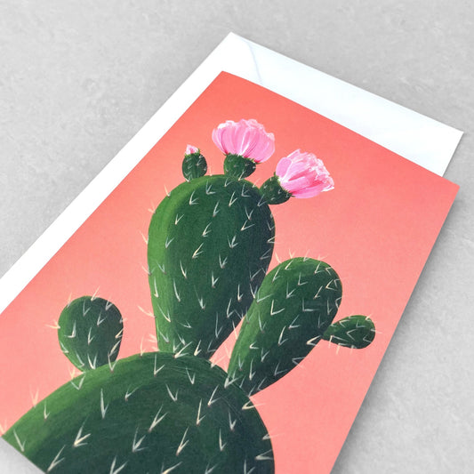 greetings card with botanical drawing of a cactus with pink flowers with a coral backdrop by Stengun Drawings
