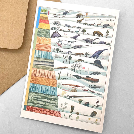 Greetings card by The Pattern Book with a drawing of the evolution of life in geological eras. With Envelope