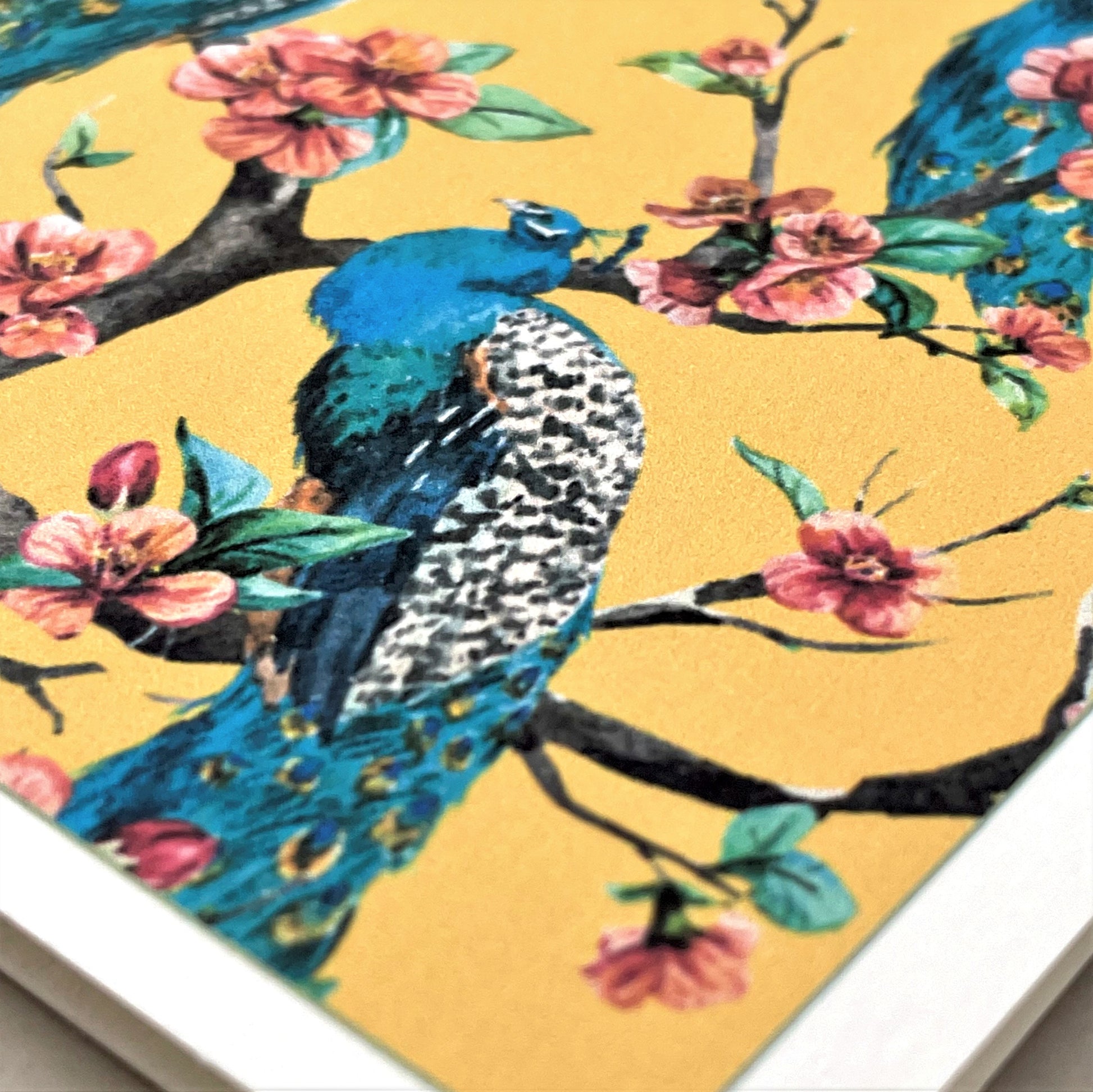 greetings card of four peacocks in a tree in blossom with yellow backdrop, close up of the card
