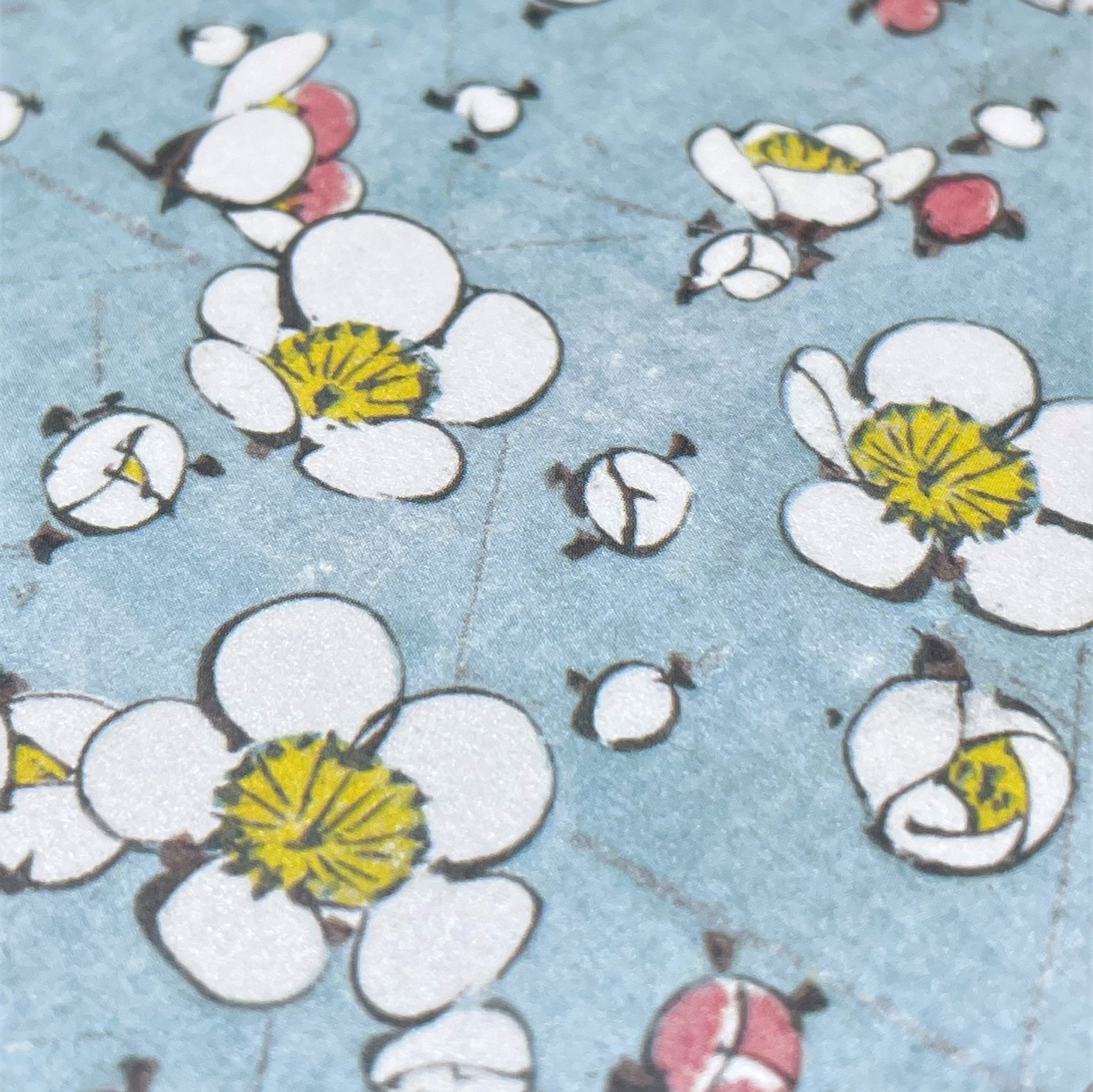 greetings card with a repeat pattern of plum blossom on pale blue backdrop, close up of the card