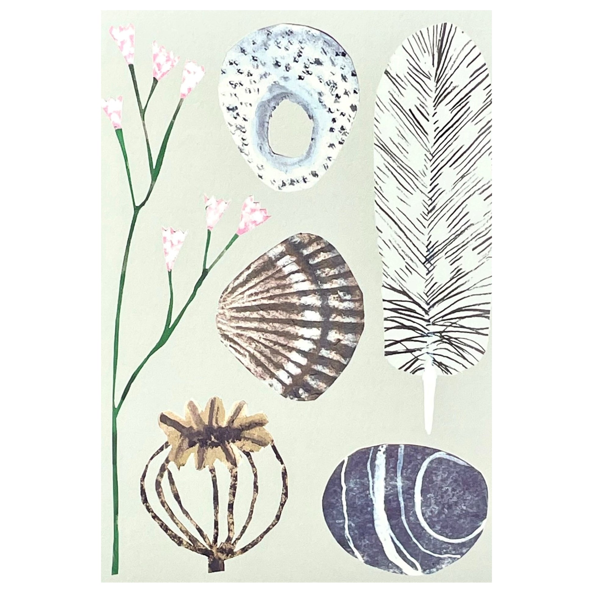 greetings card with drawings of a feather, pebble, seed head and shell by Hadley Paper Goods