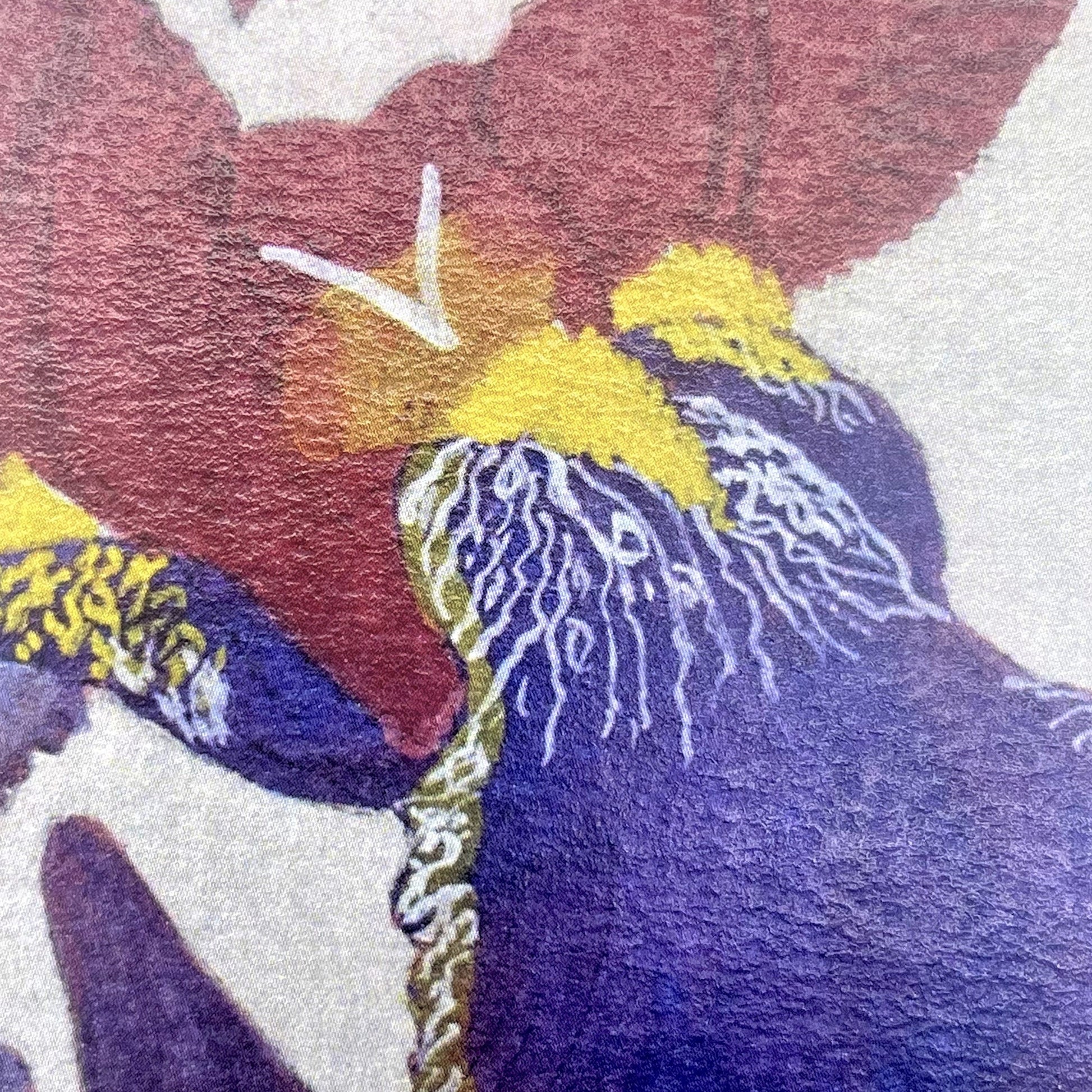 greetings card showing a painting of a purple and dark red iris, close-up of the iris flower