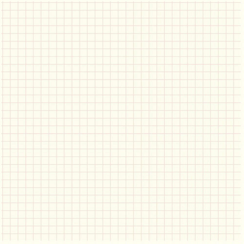 Soft cover notebook with grid format pages. Cover is plain brown with branded belly band, inner cream grid page pictured