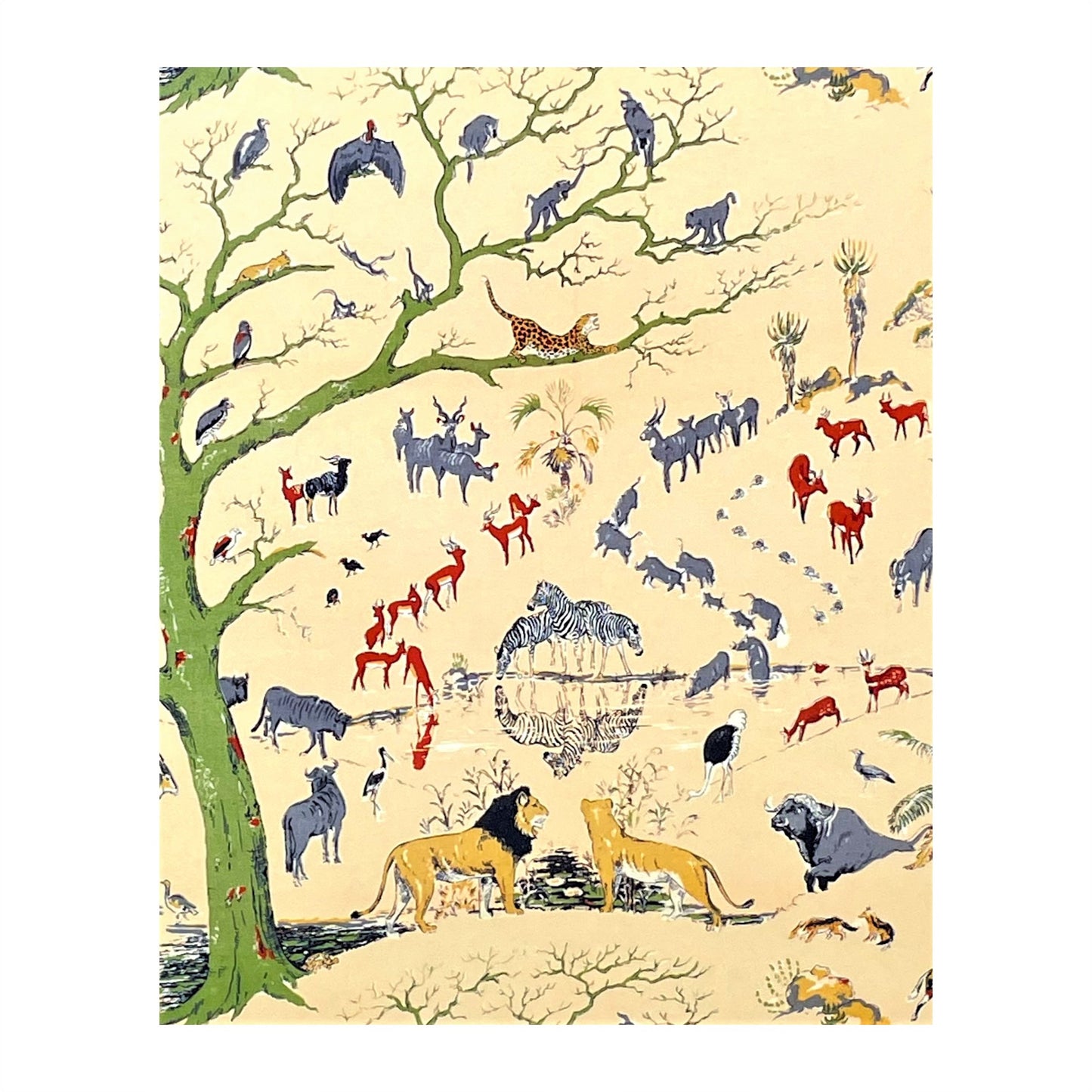 greetings card showing a drawing of kruger national park with lions, zebras, tigers, monkeys and deer