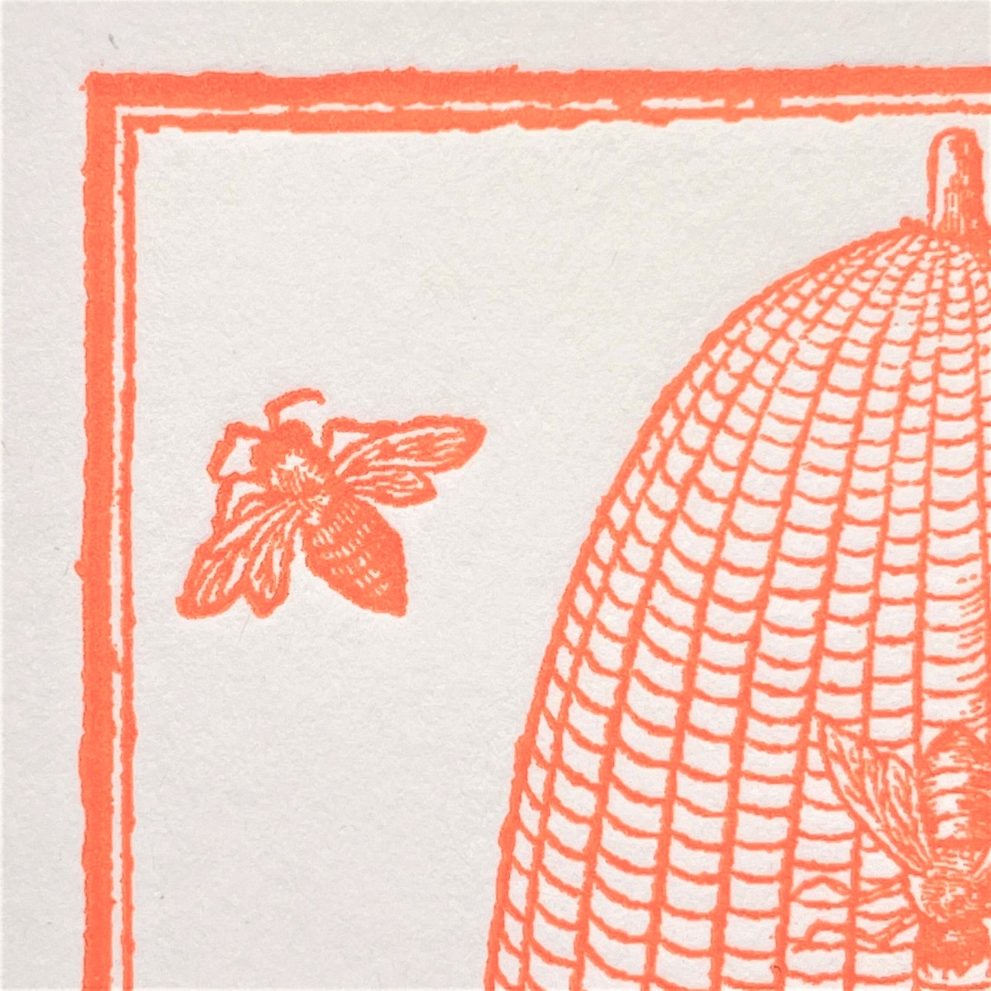 letterpress greetings card of a drawing of a bee hive, orange ink on white, close-up