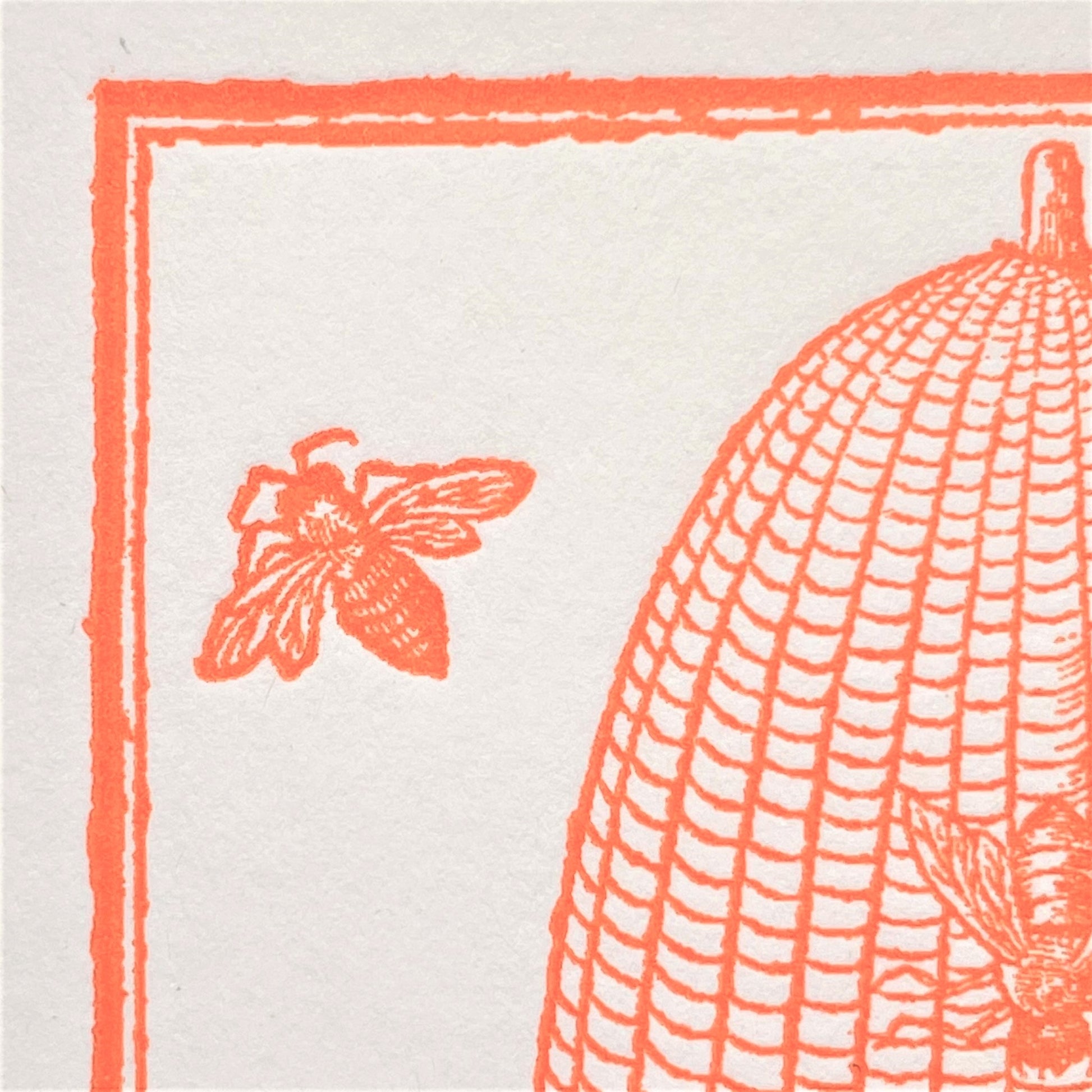 letterpress greetings card of a drawing of a bee hive, orange ink on white, close-up