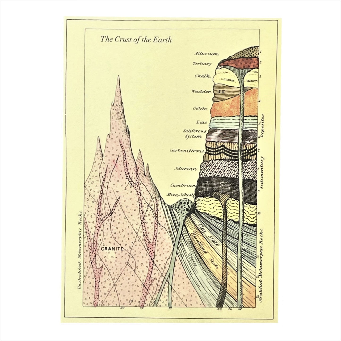 greetings card with image of the details of the crust of the earth by The Pattern Book