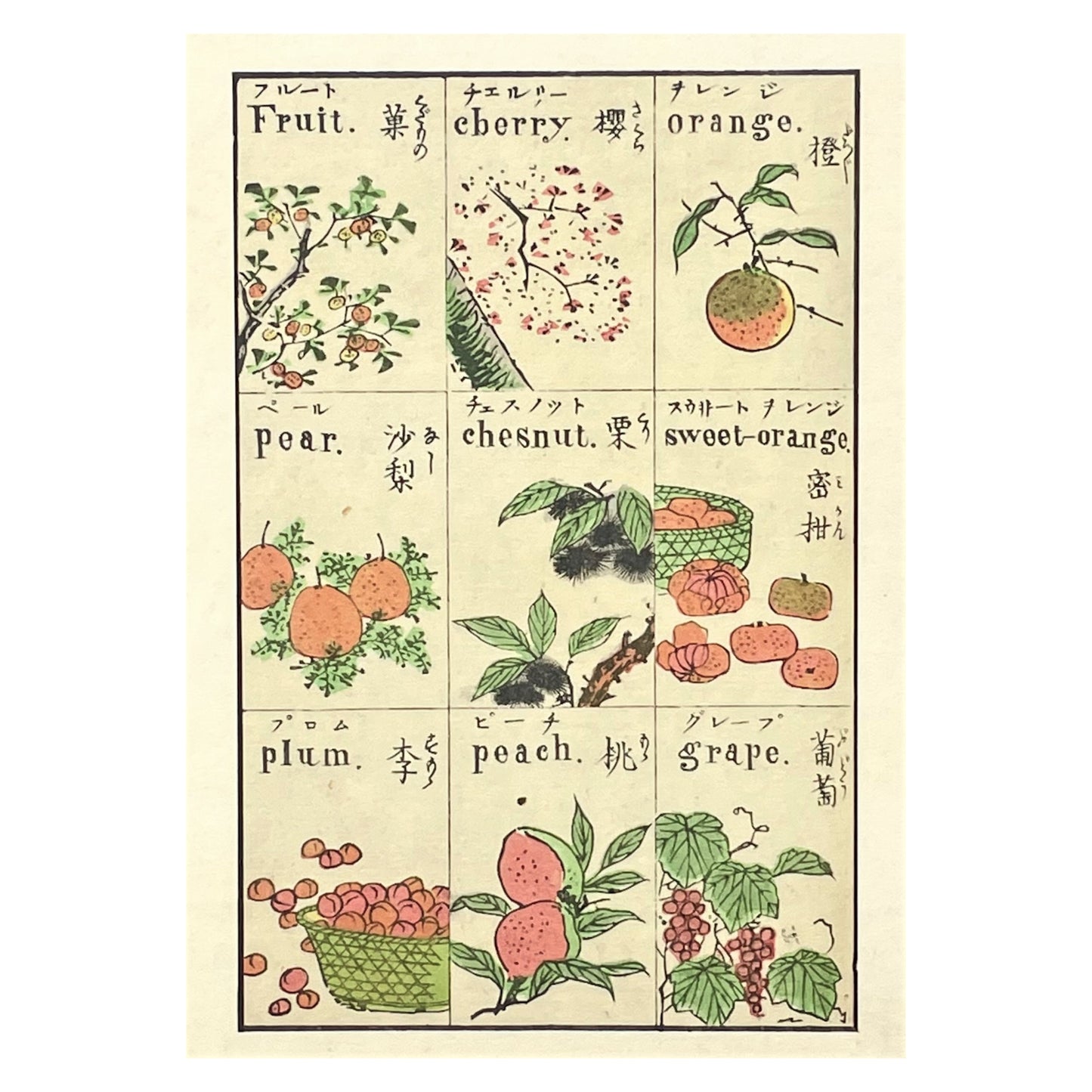 greetings card with drawings of japanese fruits by The Pattern Book