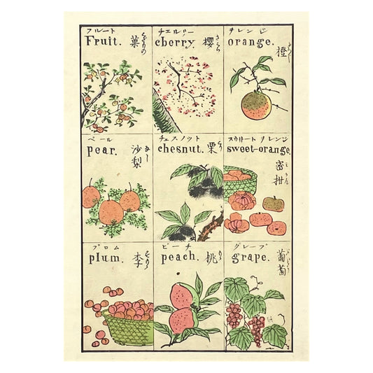 greetings card with drawings of japanese fruits by The Pattern Book
