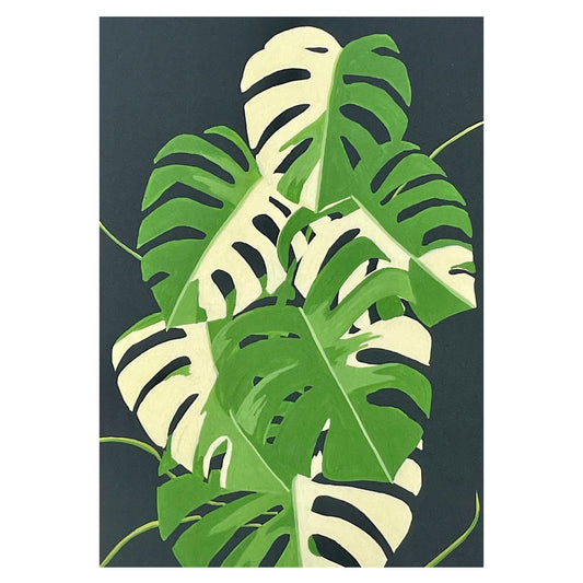 greetings card with botanical drawing of a green and cream leaf monstera plant with black backdrop by Stengun Drawings