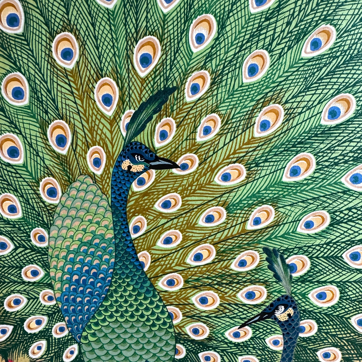 close up of a peacock on a silk-screen printed sogara paper