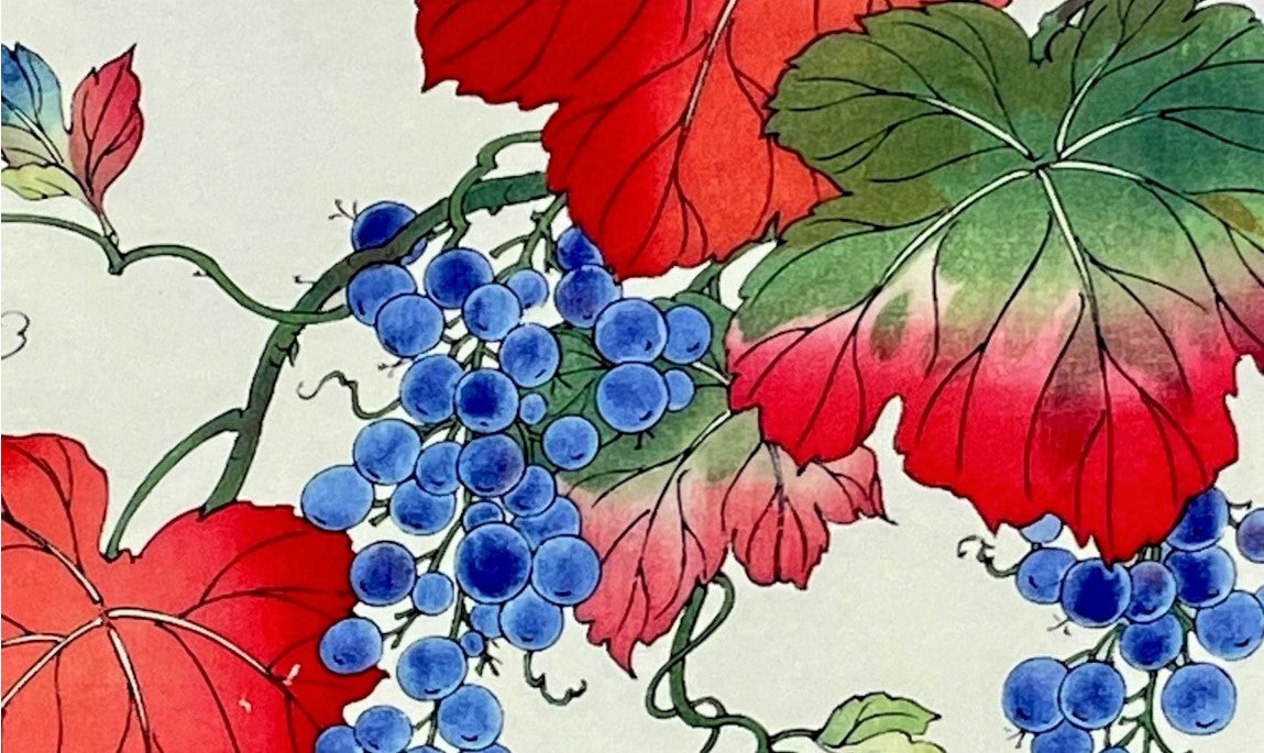 close up of a greetings card by Ezen Design showing a drawing of a grape vine