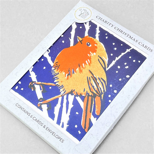greetings card showing a red robin on a branch in the snow by Canns Down Press
