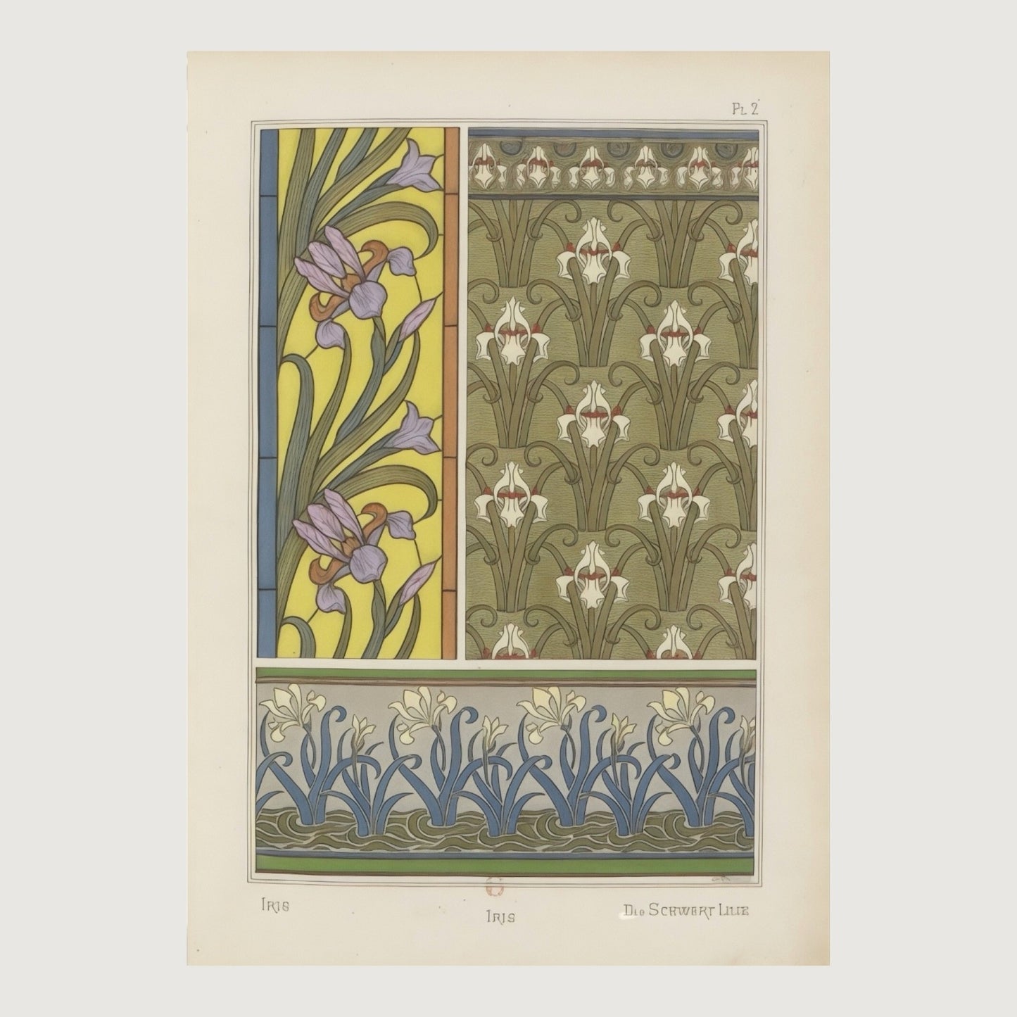 Plate 2 of a page from Plants and Their Application to Ornament by Eugene Grasset showing stylised irises