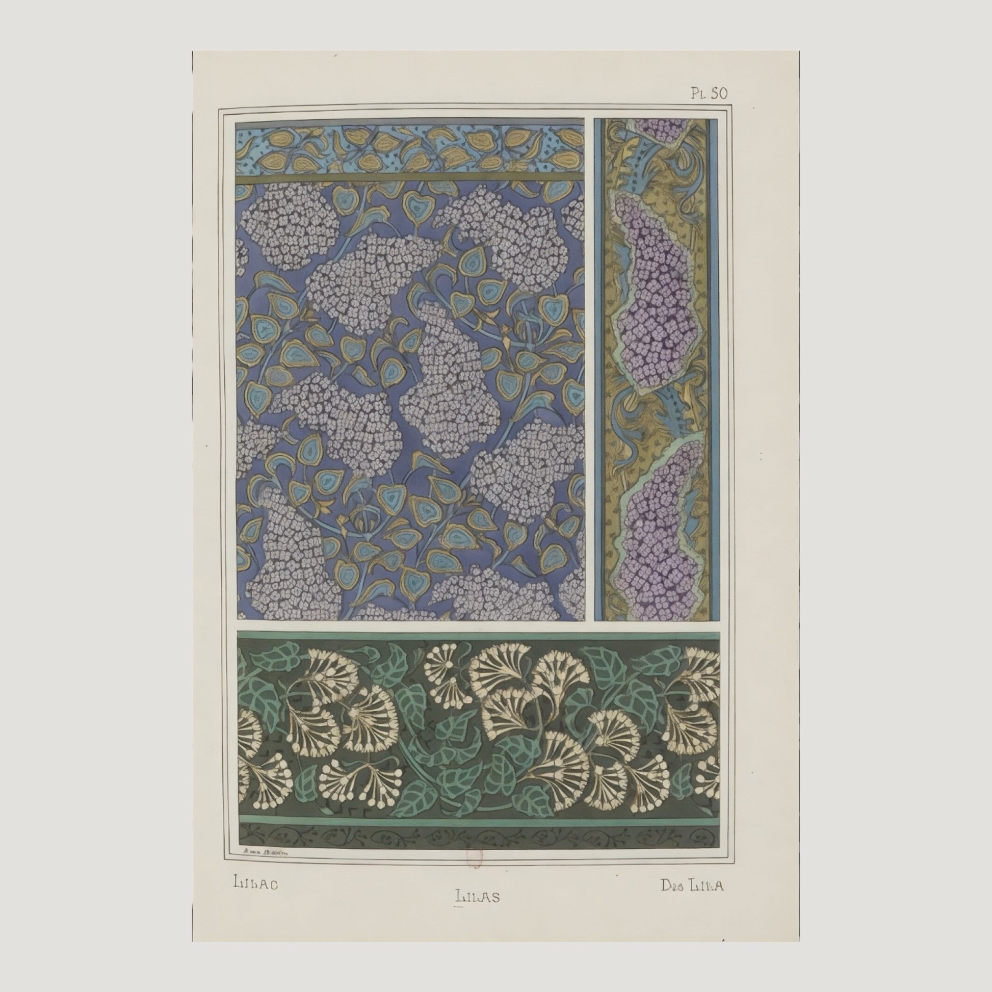 plate 50 from the book Plants and Their Application to Ornament by Eugene Grasset showing stylised lilac pattern