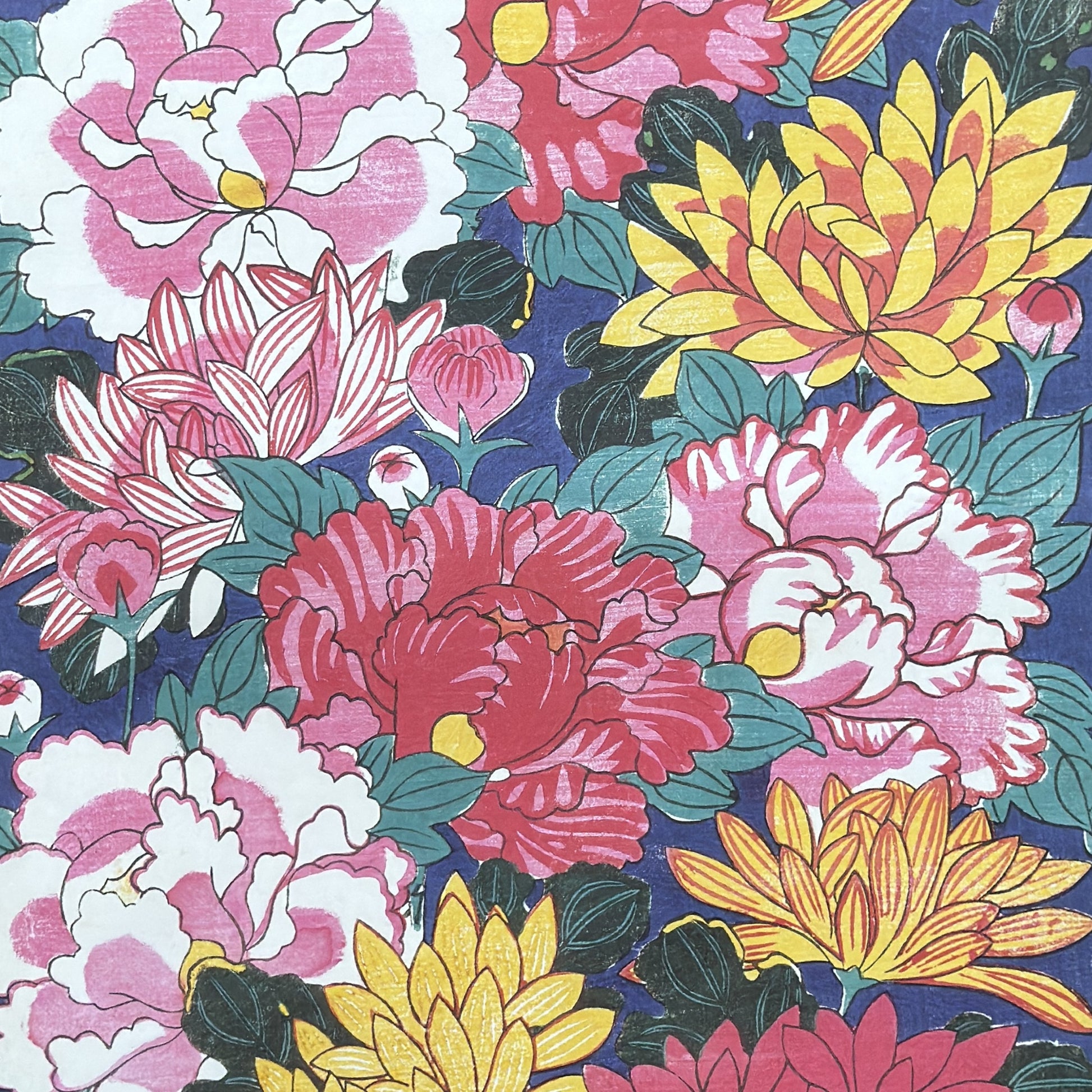 wrapping paper with a macro  design of an abundance of peonies and chrysanthemums in pink, red, yellow on a dark blue backdrop
