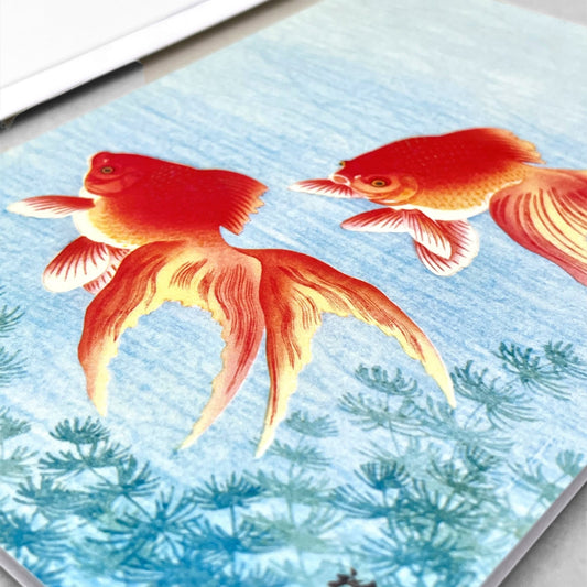 greetings card showing a drawing of two orange goldfish swimming by Ezen design