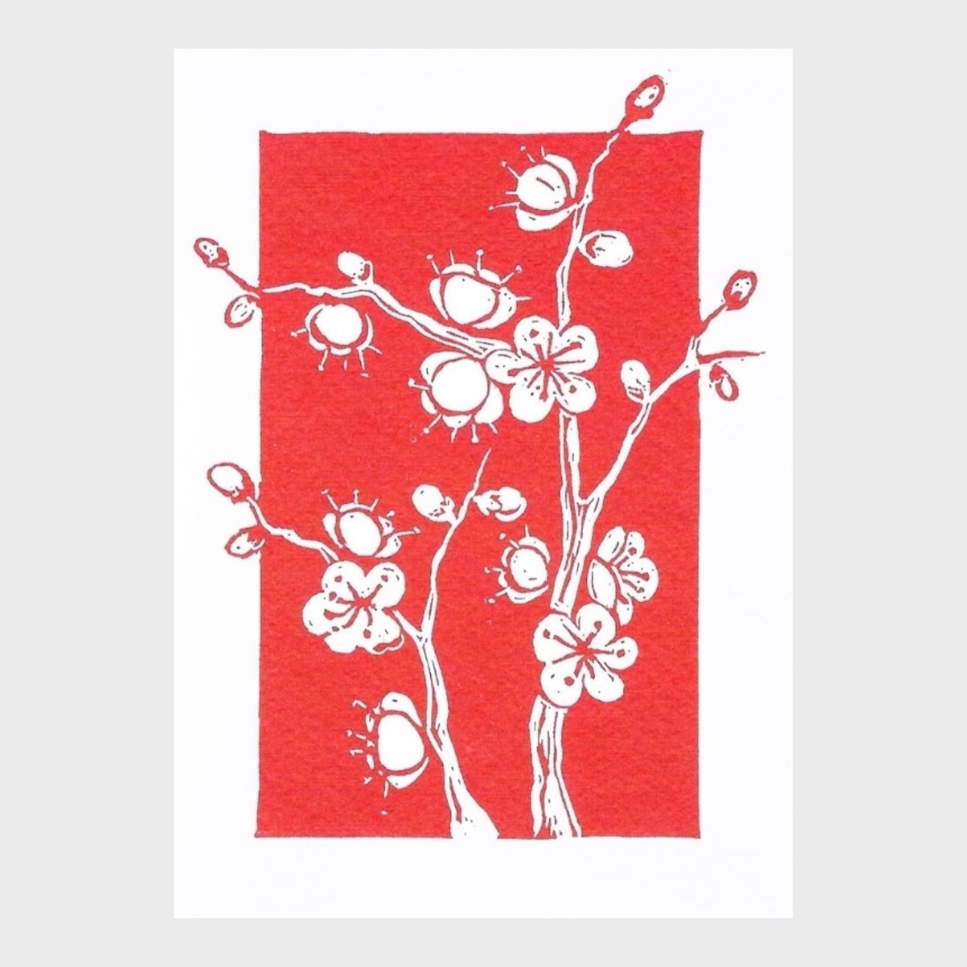 Greeting card with white floral plum blossom design on a red background