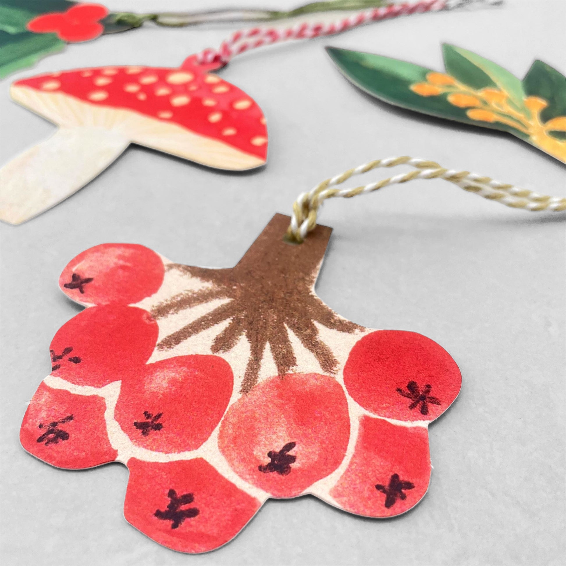 A set of five different festive plant gift tags in red, green and yellow with colourful sttring, by Hadley Paper Goods, pictured red berries