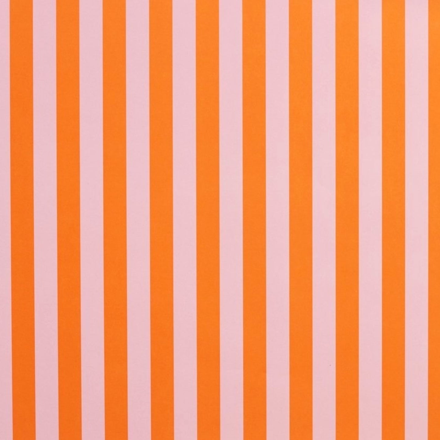 wide classic stripe wrapping paper in orange and pink by Heather Evelyn