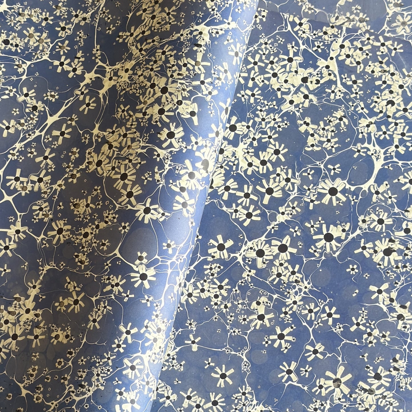 printed marble design wrapping paper by Jemma Lewis.  Daisy flower design in white and black on blue backdrop