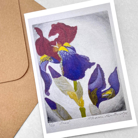 greetings card showing a painting of a purple and dark red iris by John Austin Publishing