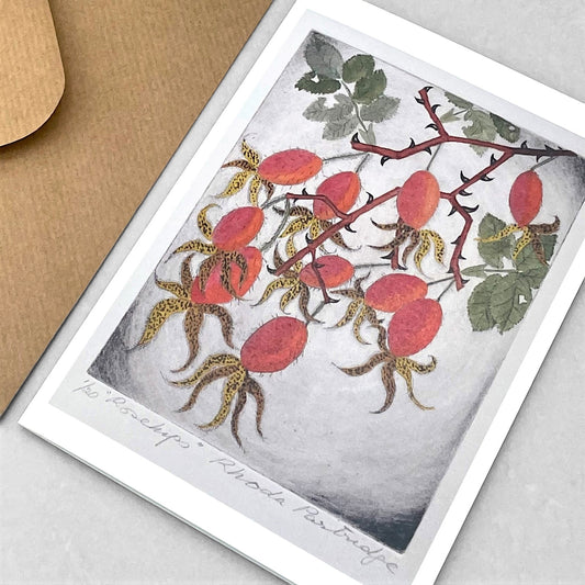 greetings card showing a drawing of red rose hips by John Austin Publishing