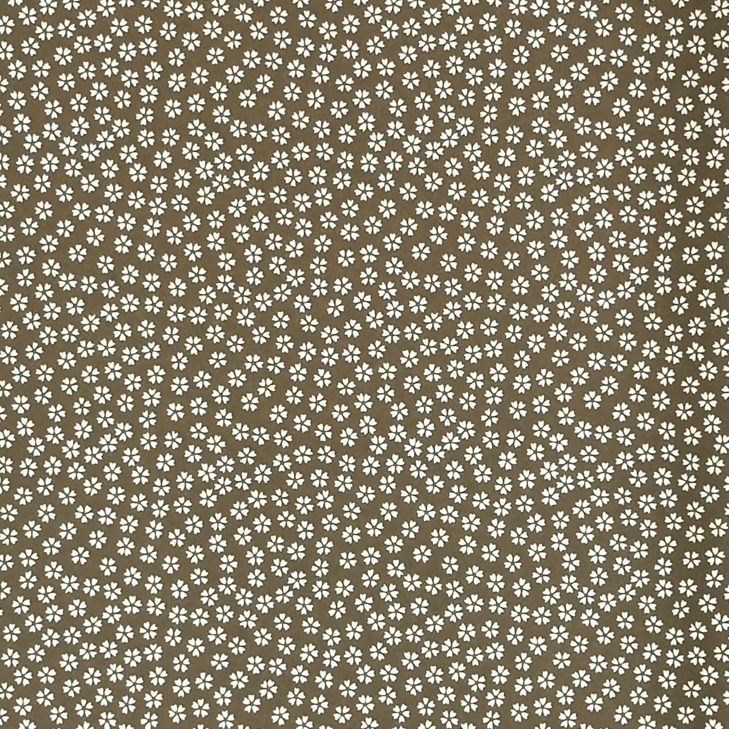a sheet of chiyogami paper with a mocha brown background and little white stylised cherry blossom flowers