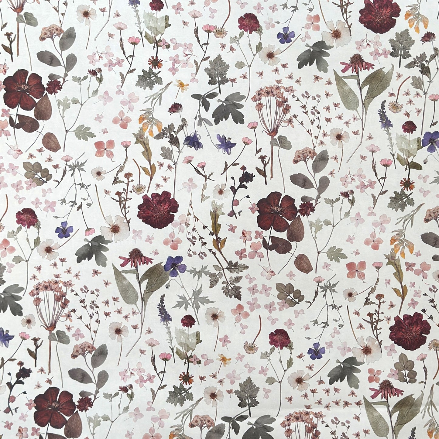 a sheet of wrapping paper with a pretty floral design of pressed flowers on a white background