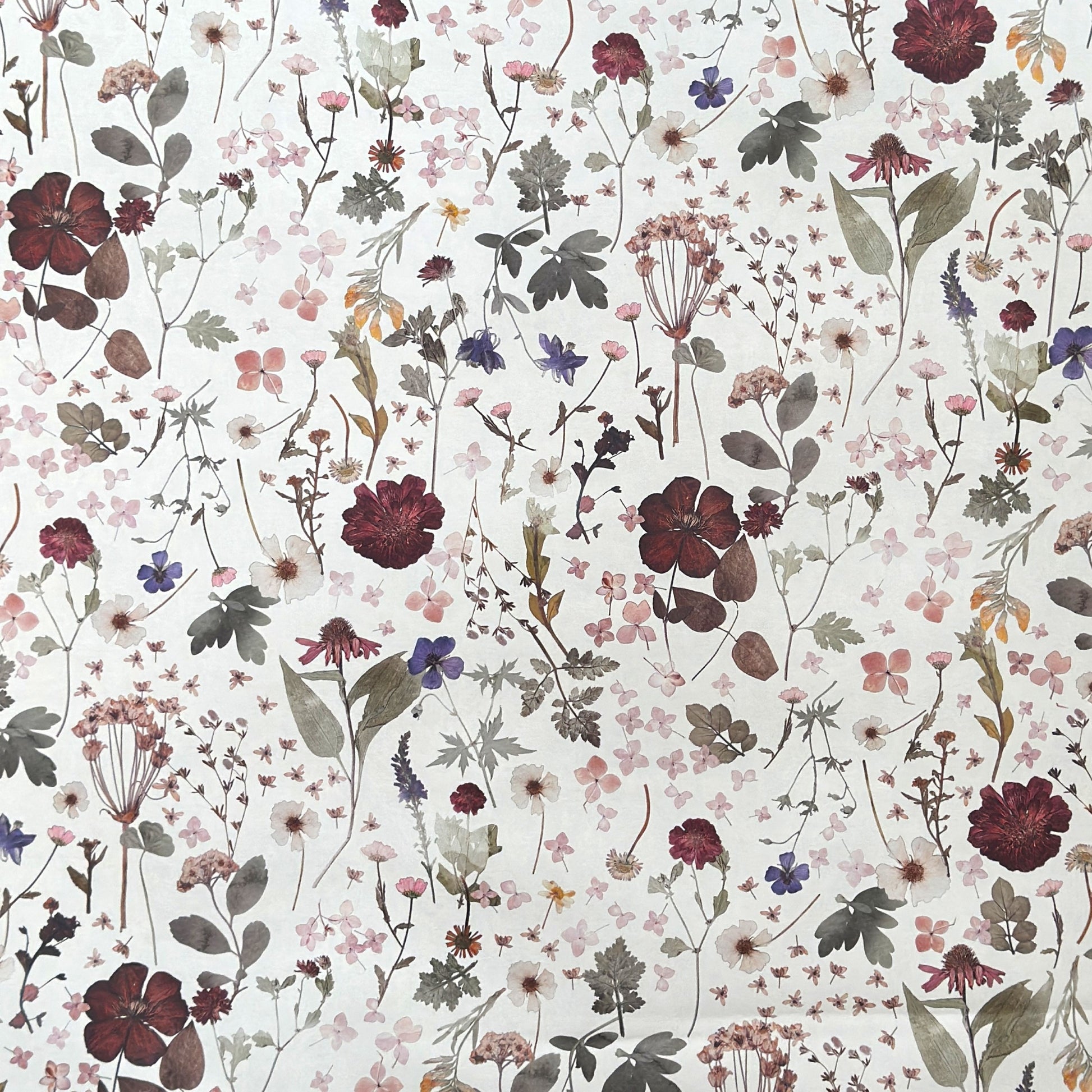 a sheet of wrapping paper with a pretty floral design of pressed flowers on a white background