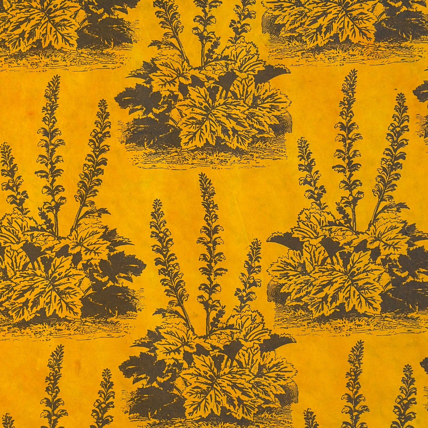 A Toile de Jouy style drawing of an agapanthus in brown screen-printed by hand on mustard yellow lokta paper.